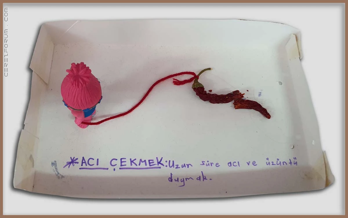 Acı çekmek