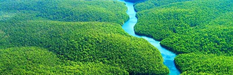 amazon-yagmur-ormanlari.jpg