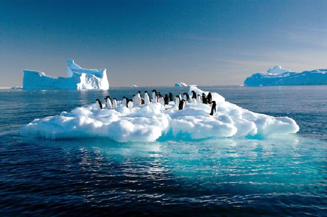 antarktika.jpg