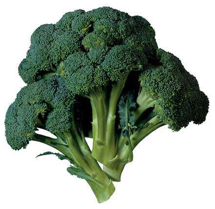 brokoli_d.jpg