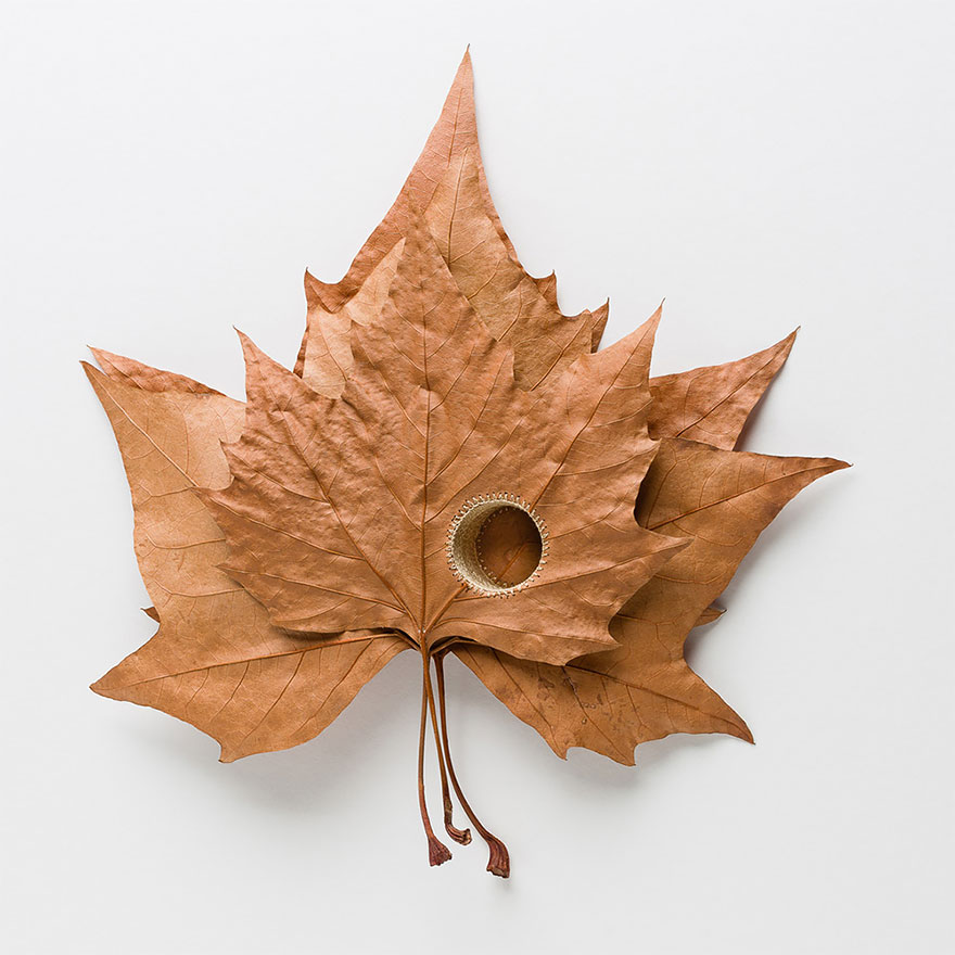 crocheted-leaf-art-susanna-bauer-18.jpg