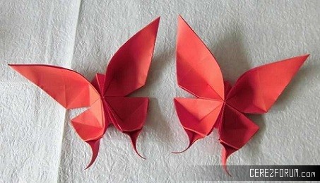origami-ornekleri2_zps72307474.jpg