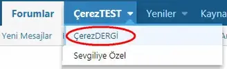 dergi.webp