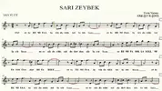 sari-zeybek2.webp