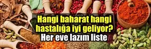 Hangi Baharat Hangi Hastalıklara İyi Gelir?