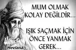 mevlana.webp