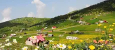 Yayla nedir? Türkiyedeki Yaylalar