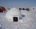 20050416-nw-igloo.webp