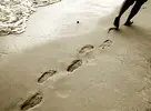 footprints.webp