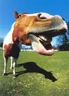 funny+horse.webp