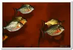 piranha-resimleri4.webp