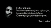 bob-marley-sozleri-4.webp