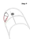 draw-budgie-parakeet-9.webp