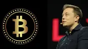 elon-musk-ne-kadar-bitcoin-i-oldugunu-acikladi-1519554344.webp