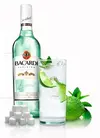 bacardi2.webp