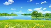 nature-wallpaper-HD.webp