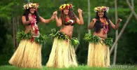 hula-dance.webp