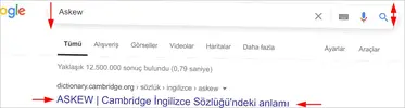 Google askew