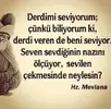 mevlana_375b221a353687620566.webp