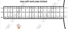 Bağlama - Kısa sap