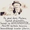 mevlana.webp