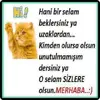 selam-kedi.webp