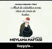 mevlana.webp