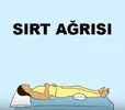 sirt-agrisi.jpg