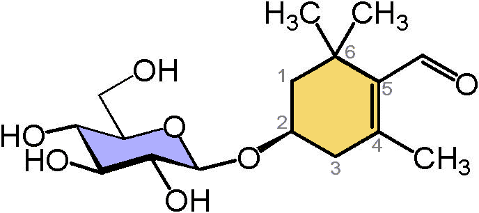 Picrocrocin_safranal_highlighted.png