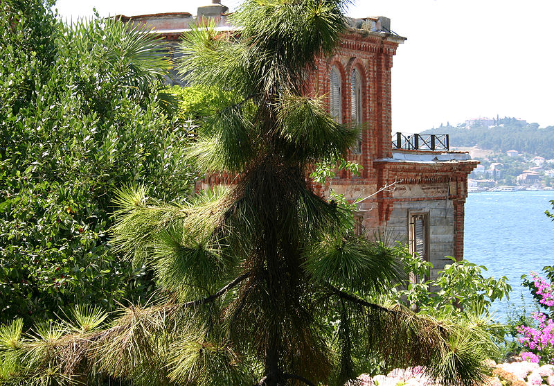 800px-Trotsky_House_Istanbul.jpg