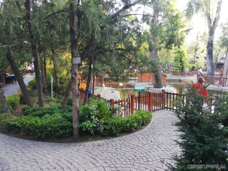 Ankara - Kuğulu park